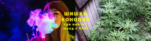 гашик Кулебаки