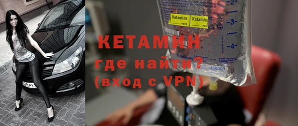 крисы Корсаков