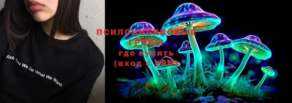 гашик Кулебаки