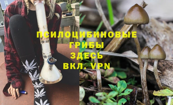 mdpv Костерёво