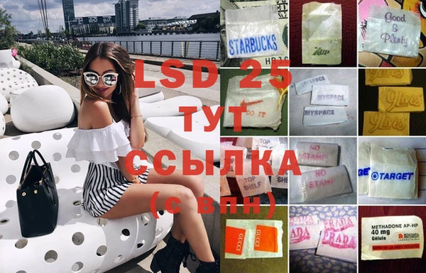 крисы Корсаков
