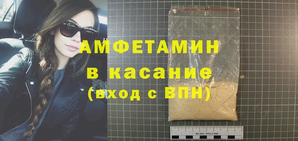 крисы Корсаков