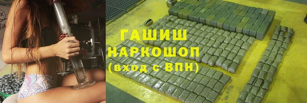крисы Корсаков