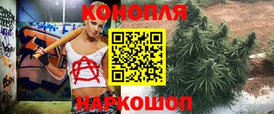 jwh Ирбит
