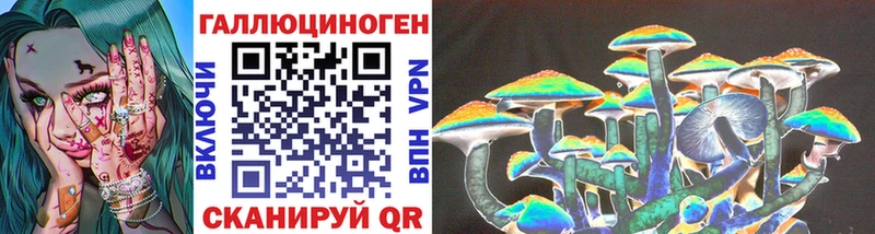 Псилоцибиновые грибы Cubensis  цены наркотик  KRAKEN сайт  Михайловка 