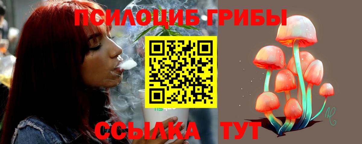 Псилоцибиновые грибы ЛСД  Михайловка  Псилоцибиновые грибы Psilocybine cubensis 